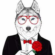 GamingWolfZockt